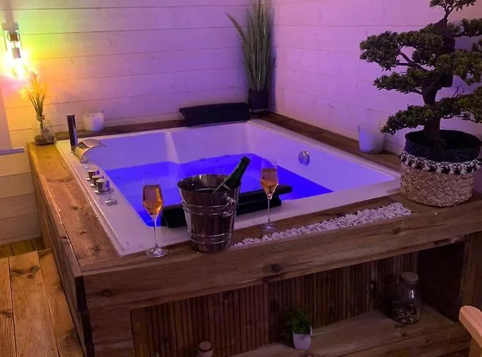 Apartment La Vigne D'aubiere 2 *